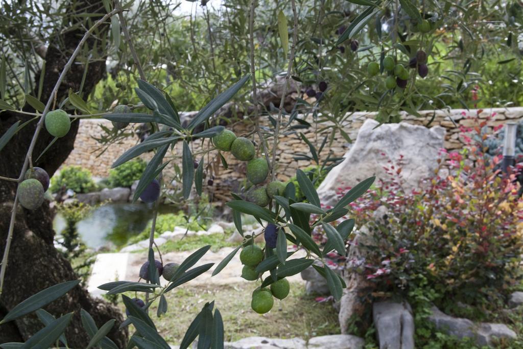 Albergo Ristorante Uliveto Veroli ภายนอก รูปภาพ